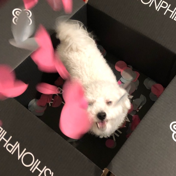 Meet your Posher, Deena - Picture 2 of 3